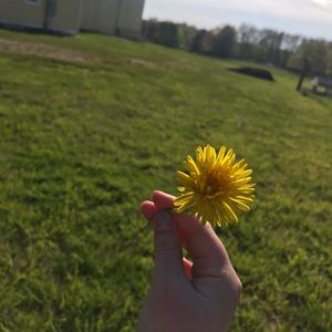 Meet your Posher, Adriana